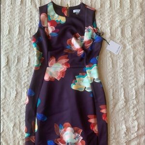 NWT Calvin dress!